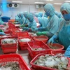 Cơ quan kiểm dịch Nga sẽ thị sát doanh nghiệp thủy sản Việt Nam