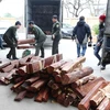 Tạm dừng cấp giấy phép nhập khẩu gỗ trắc vào Việt Nam 