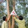 Chủ động bảo vệ rừng, phòng và chữa cháy rừng dịp Tết Nguyên đán
