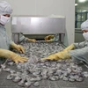 Khôi phục xuất khẩu tôm sú sống sang thị trường Trung Quốc 