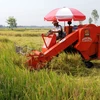 Năm tiêu chí công nhận vùng nông nghiệp công nghệ cao 