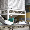 Bốc xếp gạo xuất khẩu ở Cần Thơ. (Ảnh: Đình Huệ/TTXVN)