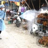 Phun thuốc khử trùng tiêu độc khu vực buôn bán gia cầm tại chợ Hà Vĩ (Hà Nội). (Ảnh: Đình Huệ/TTXVN)
