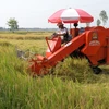Thu hoạch lúa bằng máy gặt đập liên hợp. (Ảnh: Văn Trí/TTXVN)