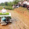 Ảnh minh họa: Trình diễn máy cấy tại huyện Thạch Thất, Hà Nội. (Nguồn: Đình Huệ/TTXVN)