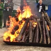 Đây là lần đầu tiên Việt Nam tiến hành tiêu hủy hơn 2 tấn ngà voi và sừng tê giác, là tang vật của các vụ buôn bán động vật hoang dã trái pháp luật. (Ảnh: Thanh Tâm/Vietnam+) 
