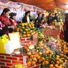 Người tiêu dùng tham quan mua sắm tại Hội chợ cam sành Hàm Yên. (Ảnh: Quang Đán/TTXVN)