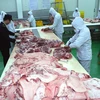Kiểm tra sản phẩm thịt lợn tại nhà máy chế biến gia súc ở Hà Nội. (Ảnh: Vũ Sinh/TTXVN)