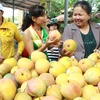 Người dân tham quan và mua sắm tại lễ hội trái cây. (Ảnh: Phương Vi/TTXVN)