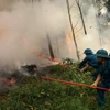 Lực lượng dân quân tự vệ tham gia diễn tập phòng cháy rừng tại Phú Thọ. (Ảnh: Trung Kiên/TTXVN)