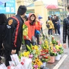 Sinh viên bán hoa khắp các cổng trường đại học. (Ảnh: Quế Anh/Vietnam+)
