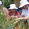 Sinh viên quốc tế đến Việt Nam tìm hiểu về phương thức canh tác ngành nông nghiệp. (Ảnh: PV/Vietnam+)