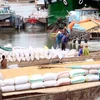 Thu mua lúa gạo tạm trữ ở tỉnh Đồng Tháp. (Ảnh: Đình Huệ/TTXVN)