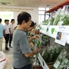 Người tiêu dùng lựa chọn các sản phẩm tại Trung tâm cung ứng nông sản, thực phẩm an toàn. (Ảnh: Thanh Tâm/Vietnam+) 