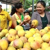 Người dân tham quan và mua sắm tại lễ hội trái cây. (Ảnh: Phương Vi/TTXVN)