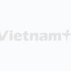 Trục xuất một Việt kiều vì hành vi chống Nhà nước