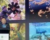 Huawei và IUCN tổ chức Hội nghị thượng đỉnh Tech4Nature nhằm thúc đẩy quá trình đổi mới trong công tác bảo tồn thiên nhiên