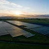 Trinasolar kỷ niệm Thành công của trang trại năng lượng mặt trời Rangitaiki: Tiên phong về nông nghiệp ở New Zealand