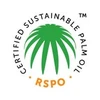 RSPO Tái Khẳng Định FPIC và các Yếu Tố giúp Giải Quyết Nạn Phá Rừng Vẫn là Tiêu Chí Chính trong Tiêu Chuẩn RSPO 2024