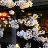 Tìm hiểu văn hóa Nhật Bản qua “một chiếc khăn tay” 