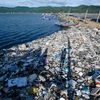 Một bờ biển ngập rác thải ở Việt Nam. (Ảnh: Lekima Hùng)