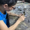 [Video] Đồng Xâm: Diện mạo mới ở làng chạm bạc nức tiếng 600 năm 