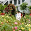 Du khách thăm quan vườn hoa hồng lớn nhất Việt Nam. (Ảnh: Nam Nguyễn/Vienam+)