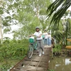 Du khách đạp xe trải nghiệm miệt vườn Cần Thơ. (Ảnh: Mai Mai/Vietnam+)