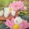 [Photo] Thưởng trà sen sớm bên đầm bách diệp liên tuyệt đẹp mùa Hạ