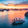 Du thuyền ngủ đêm trên vịnh Lan Hạ vừa trải qua chuỗi ngày dài ngủ yên trên bến vắng vì COVID-19. (Ảnh minh họa: CTV/Vietnam+)