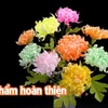 [Video] Hướng dẫn làm hoa cúc rực rỡ sắc màu từ giấy rút