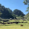 [Video] Thiên nhiên tuyệt đẹp và bình yên ở ‘làng nguyên thủy’