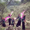 Các cô gái Thái biểu diễn múa Xòe giữa mùa Xuân Tây Bắc. (Ảnh: Mai Mai/Vietnam+)