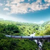 Du lịch đường sắt Việt Nam đã trở thành một sản phẩm du lịch được du khách yêu thích và lựa chọn. (Ảnh: Trung tâm Thông tin du lịch)