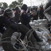 Cảnh sát Thái quyết giành lại 5 điểm biểu tình ở Bangkok