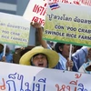 Nông dân Thá́i Lan biểu tình phản đối việc chính phủ chậm thanh toán tiền mua gạ̣o. (Nguồn: AFP/TTXVN)