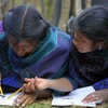 UNESCO kêu gọi nâng cao trình độ học vấn cho nữ giới