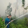 Bình Định: Cháy rừng dữ dội xuất phát từ việc đốt vàng mã
