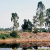 Nước sông Nhuệ đang bị ô nhiễm trên mức báo động cấp 3