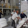 Hỗ trợ hơn 300 tấn gạo cho tỉnh Tuyên Quang để cứu đói 