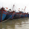 Bình Định loại bỏ 2.000 tàu cá công suất nhỏ hoạt động ven bờ