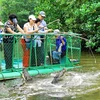 Cần Thơ phát triển mô hình nuôi cá sấu kết hợp với du lịch