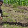 Thừa Thiên-Huế: Khai thác mỏ đá vôi gây sụt lún đất nông nghiệp