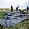 Vụ MH17: Malaysia không tham gia vào "trò đổ lỗi" Nga-Ukraine 