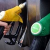Giá dầu Mỹ giảm xuống mức thấp nhất trong vòng sáu tháng