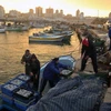Israel dỡ bỏ một phần lệnh cấm đánh bắt cá ở Dải Gaza