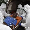 Thử nghiệm thành công thuốc điều trị Ebola trên khỉ đuôi ngắn