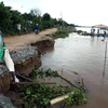 Hà Nội: Hơn 1.000m bờ tả sông Đáy bị sạt lở nghiêm trọng