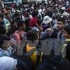 Người di cư tại một trại tị nạn ở Presevo, Serbia sau khi vượt qua biên giới Macedonia ngày 26/8 vừa qua. (Ảnh: AFP/TTXVN)