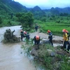 (Ảnh minh họa: Minh Tâm/TTXVN)